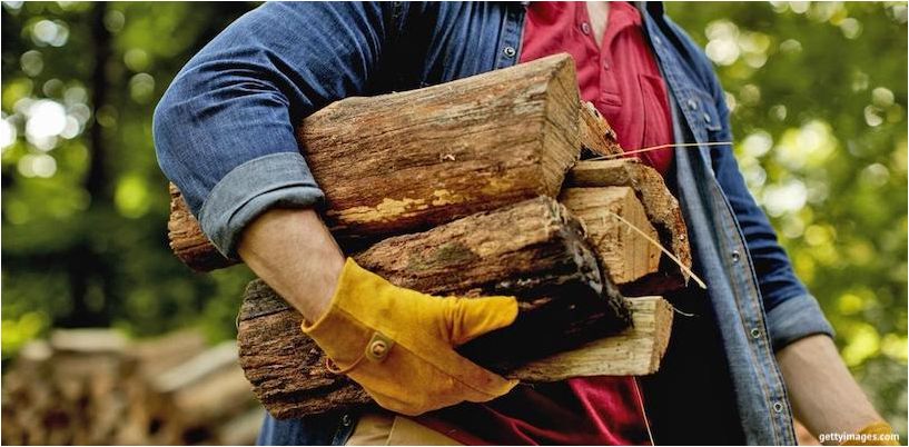 biopalivo z palivového dreva
