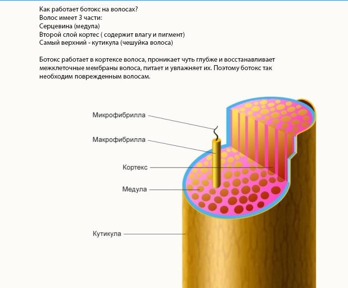 Ako Botox účinkuje na vlasy