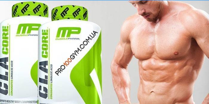 Dve plechovky CLA Jadro MusclePharm spaľovač tuku a muža