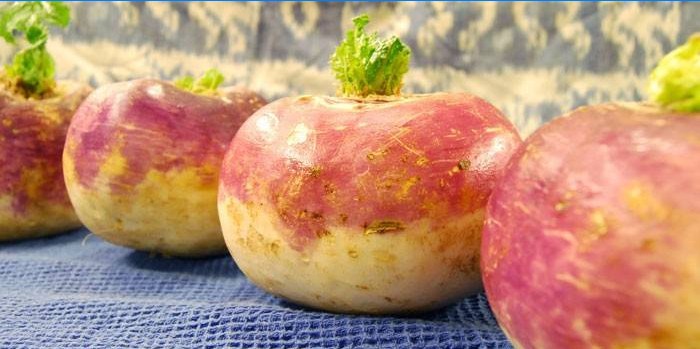 Mladá rutabaga