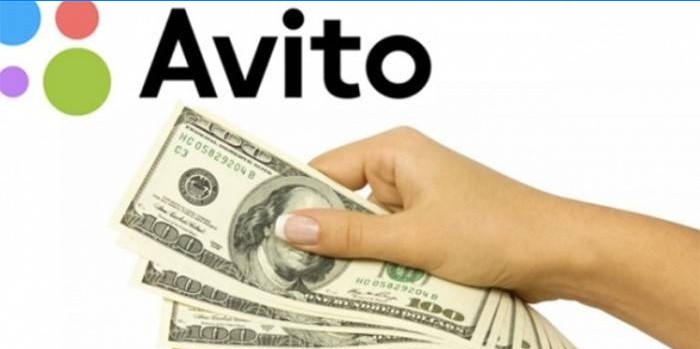 Avito logo a peniaze v ruke