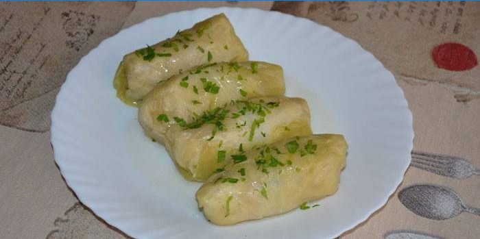 Ready-made kapusta rolky na tanieri