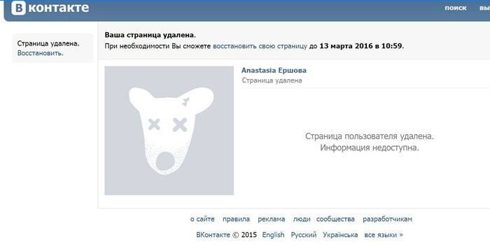 Okno aplikácie Vkontakte