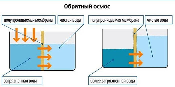 Schéma fungovania reverznej osmózy