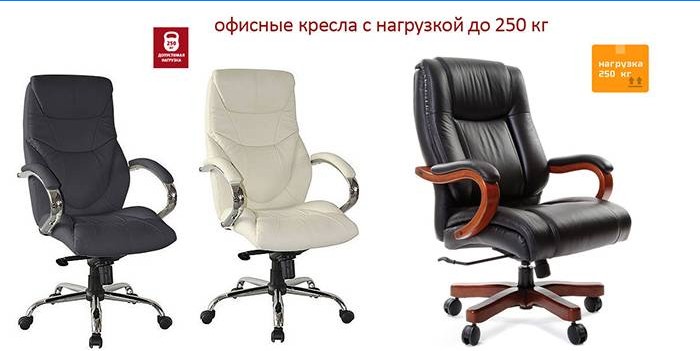Stoličky do 250 kg