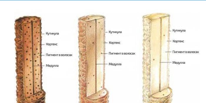 Odfarbovací mechanizmus