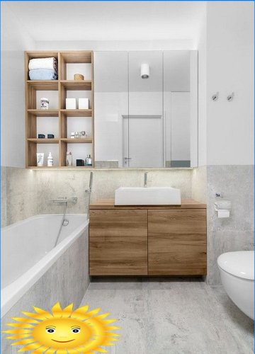 Dizajn a dekorácia kombinovanej kúpeľne: 20 fotografických nápadov