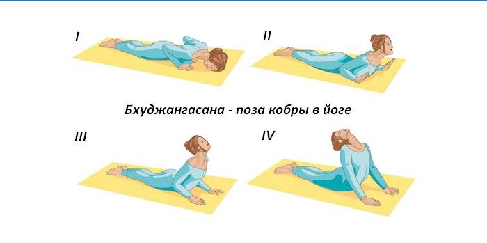 Bhujangasana - kobra predstavovať