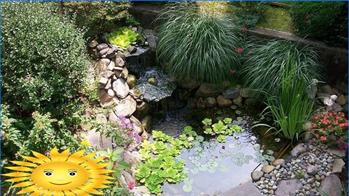 Rastliny pre dekoratívne nádrž a záhradné jazierko v krajine