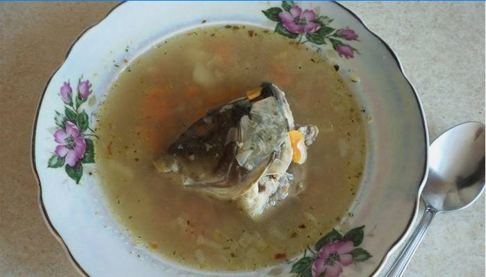 Lososové ucho na tanieri