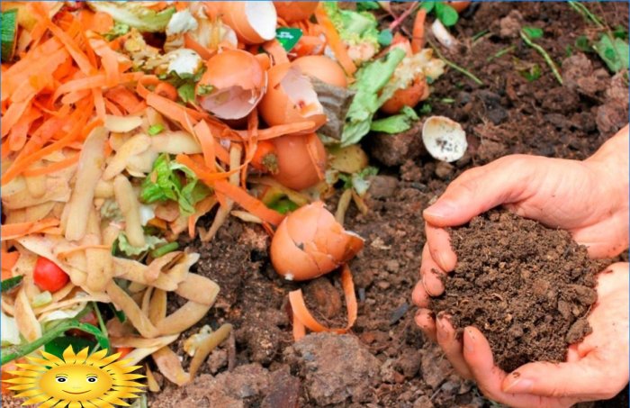 Vytváranie kompostu - šesť hlavných zložiek