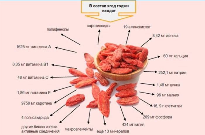 Zloženie užitočných prvkov bobúľ goji