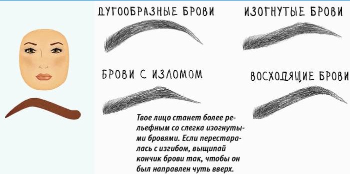 Tvar obočia zodpovedá tvaru gule.