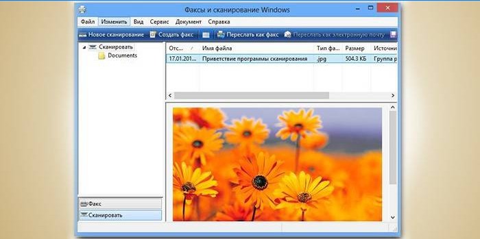 Program na skenovanie v systéme Windows