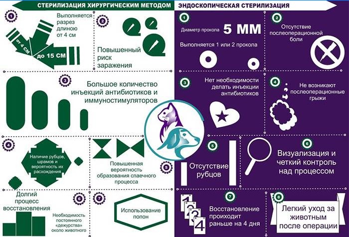 Chirurgické a endoskopické metódy