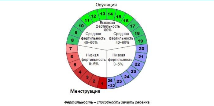 Úrodné dni v cykle