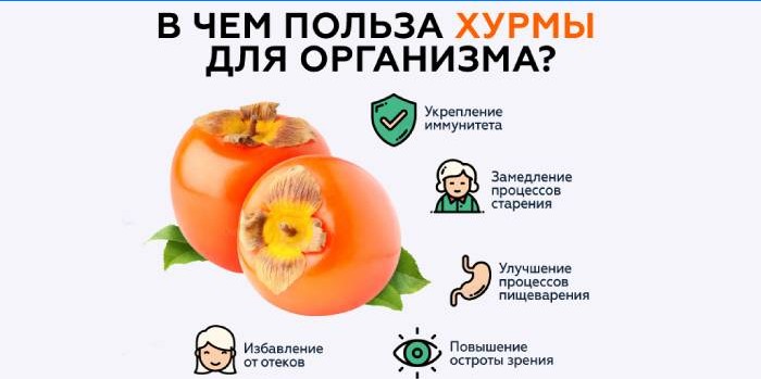 Užitočné vlastnosti tomel pre telo