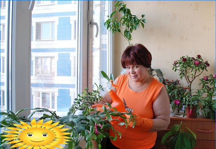 Zimná záhrada na balkóne alebo záhradníctvo na balkóne vlastnými rukami