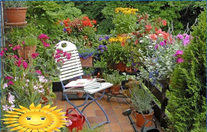 Zimná záhrada na balkóne alebo záhradníctvo na balkóne vlastnými rukami