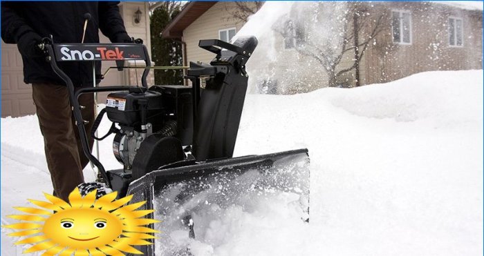 Ariens Sno-Tek 20