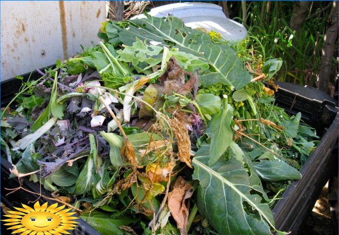 Čo je možné vložiť do kompostu