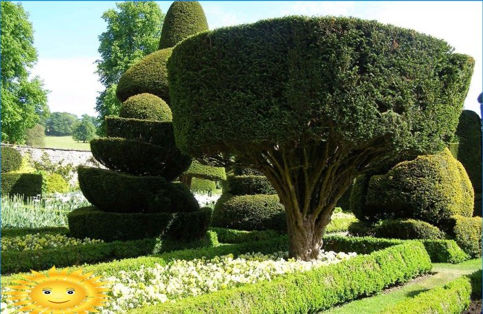 Topiary - sochy z kríkov a stromov