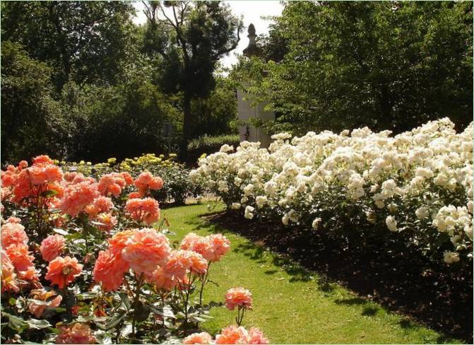 Regents Park Landscaping v Londýne