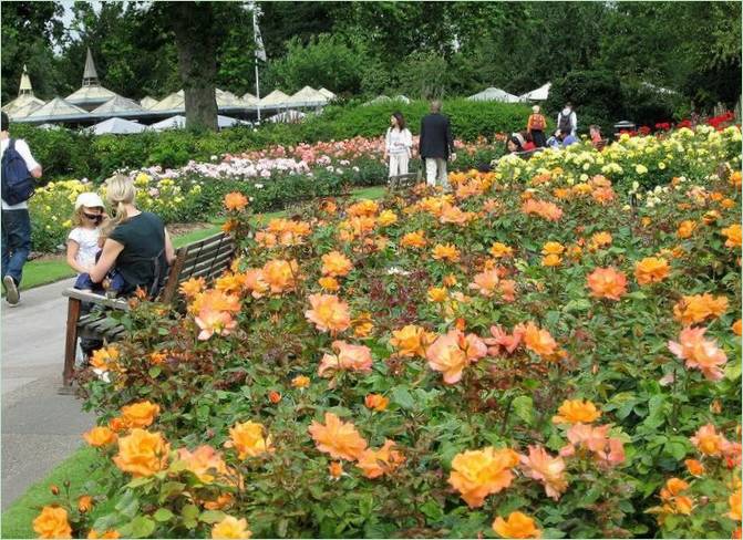 Regents Park Landscaping v Londýne