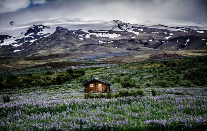 Dom na samote na Islande