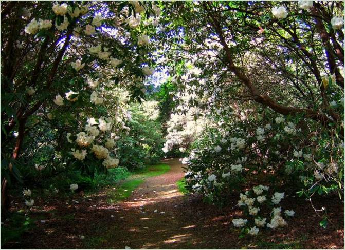 Sheffield Classic Park, Anglicko