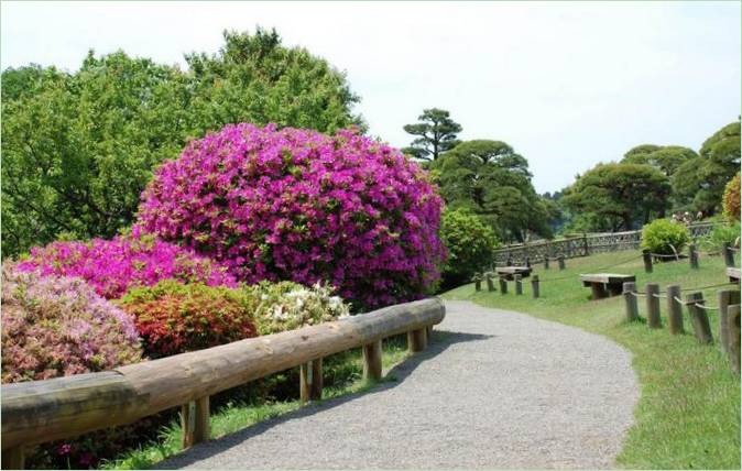 Park Kairaku-en Gardens v meste Mito