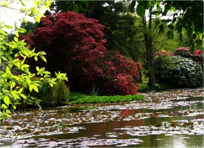 Sheffield Classic Park, Anglicko