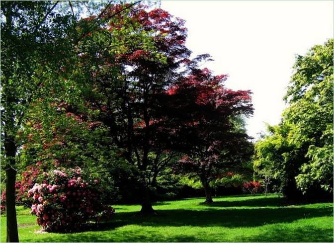 Sheffield Classic Park, Anglicko