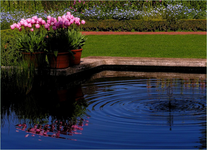 Múzeum California Filoli Gardens