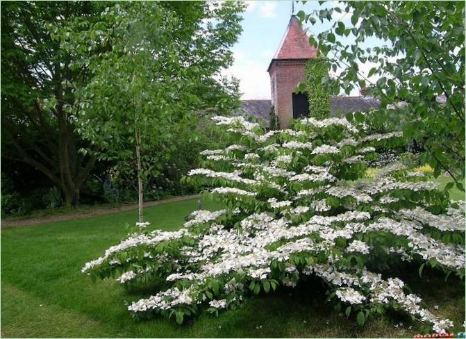 Denmans Lane Gardens sú záhrady v anglickom štýle