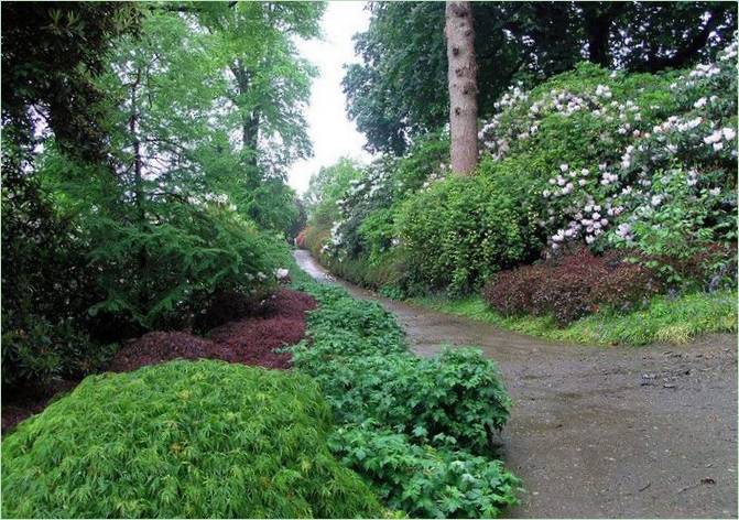 Park Mount Congreve Arboretum