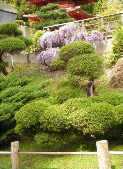 Japonská záhrada Hagiwara Tea Garden v San Franciscu