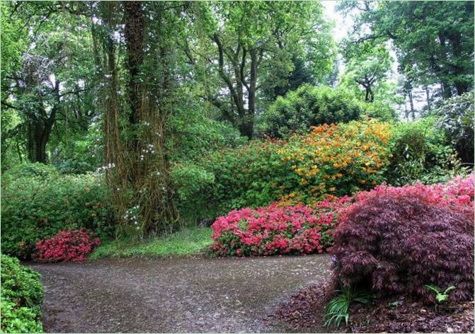 Mount Congreve Arboretum