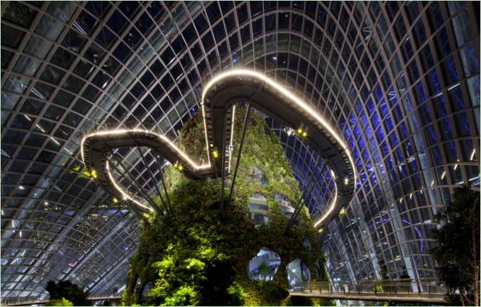 Projekt Gardens by the Bay v Singapure