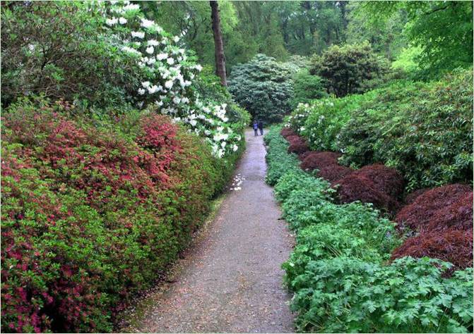 Mount Congreve Arboretum