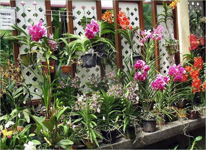 Orchideová záhrada v Kuala Lumpure