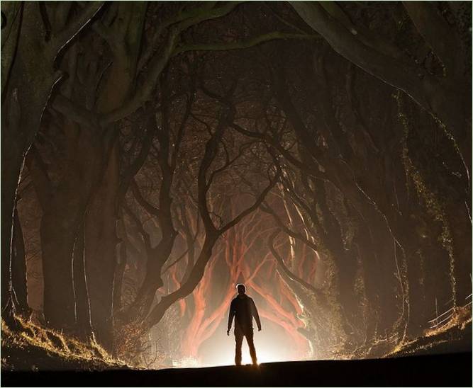 Buková aleja Dark Hedges zo seriálu Hra o tróny