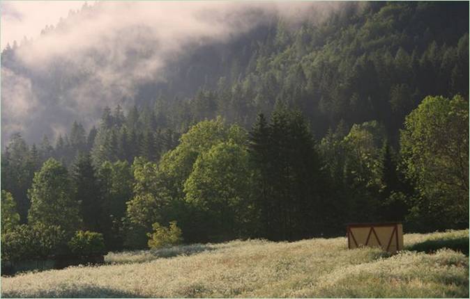 Výhľad na Alpy a nezvyčajné riešenie úľa