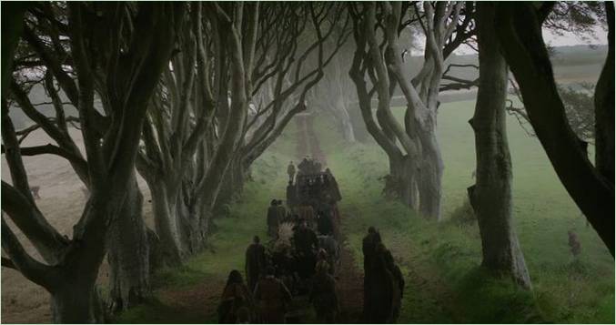 Buková aleja Dark Hedges zo seriálu Hra o tróny