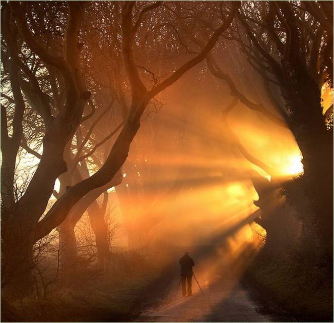 Buková aleja Dark Hedges zo seriálu Hra o tróny